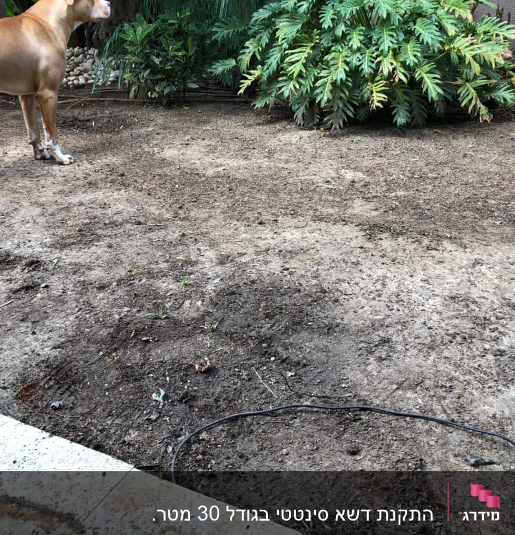 אדמה חשופה עם צינור השקיה בגינה